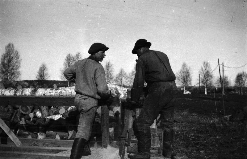 Mustavalkoinen kuva miehistä, jotka tekevä tukinsahaustyötä